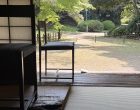 木花佐久夜意須